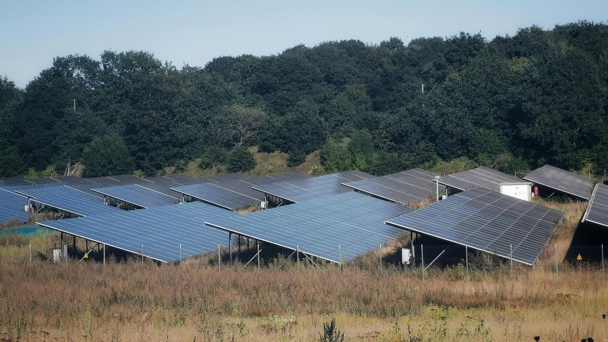 A wide view of solar panels in a sunny field