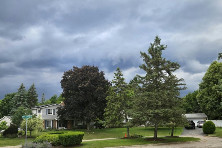 Suburban neighborhood with lush greenery under dramatic storm clouds, creating a moody atmosphere.