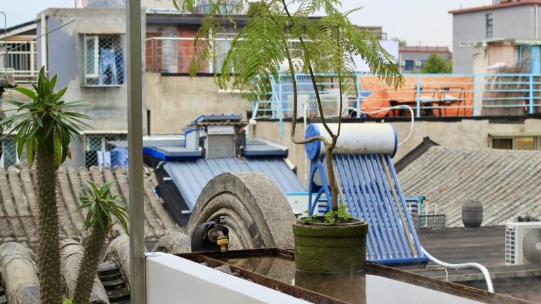 Rooftop with solar water heaters and potted plants.