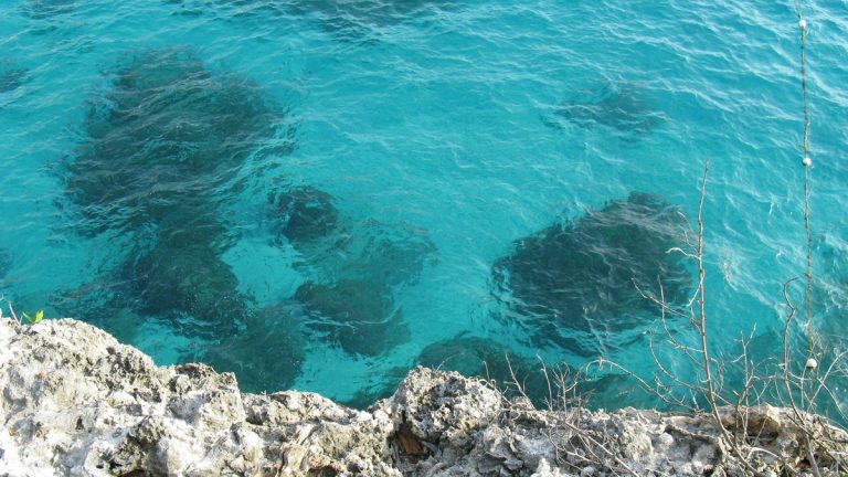brown rocks beside blue sea during daytime